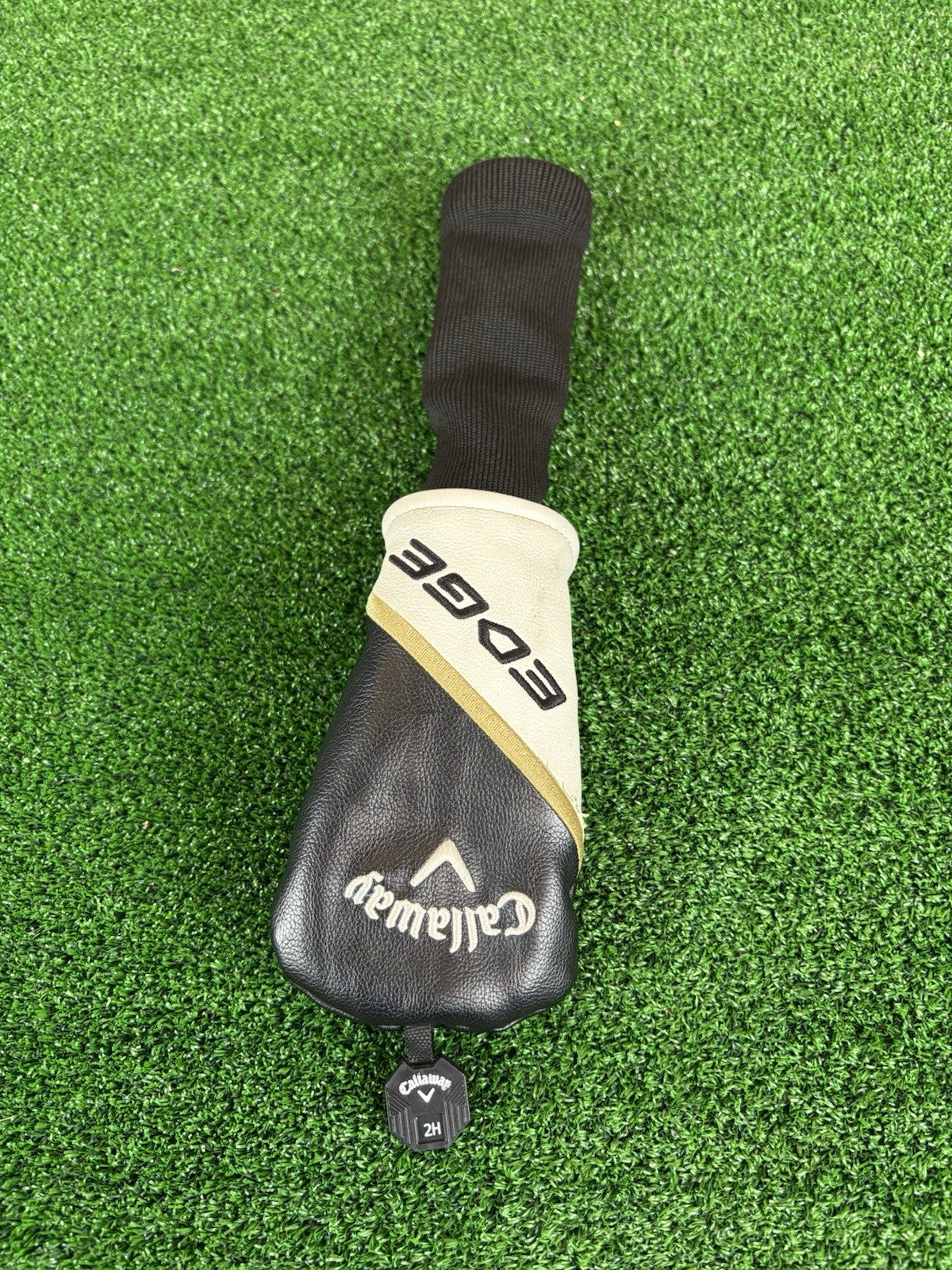 Image #7